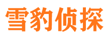 元谋侦探公司